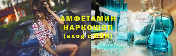 ПСИЛОЦИБИНОВЫЕ ГРИБЫ Горно-Алтайск