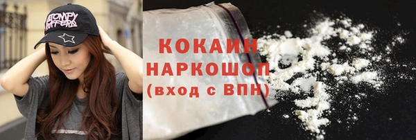 ПСИЛОЦИБИНОВЫЕ ГРИБЫ Горно-Алтайск
