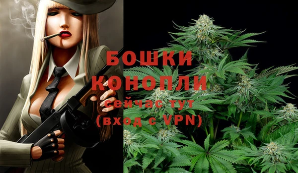 spice Вяземский