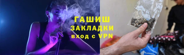 ПСИЛОЦИБИНОВЫЕ ГРИБЫ Горно-Алтайск