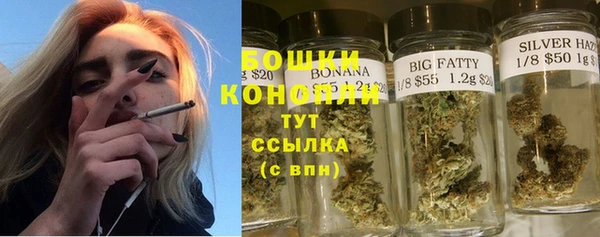 spice Вяземский