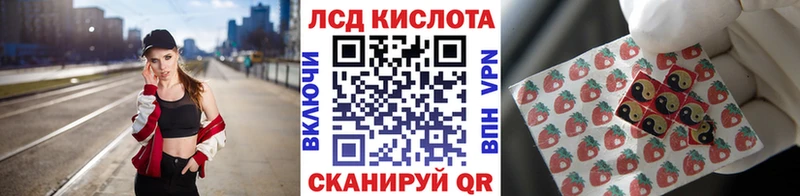 купить наркоту  Лабинск  Марки 25I-NBOMe 1,8мг 