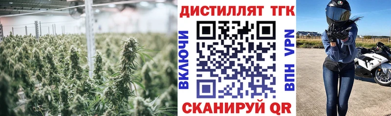 OMG ONION  Лабинск  ТГК жижа 